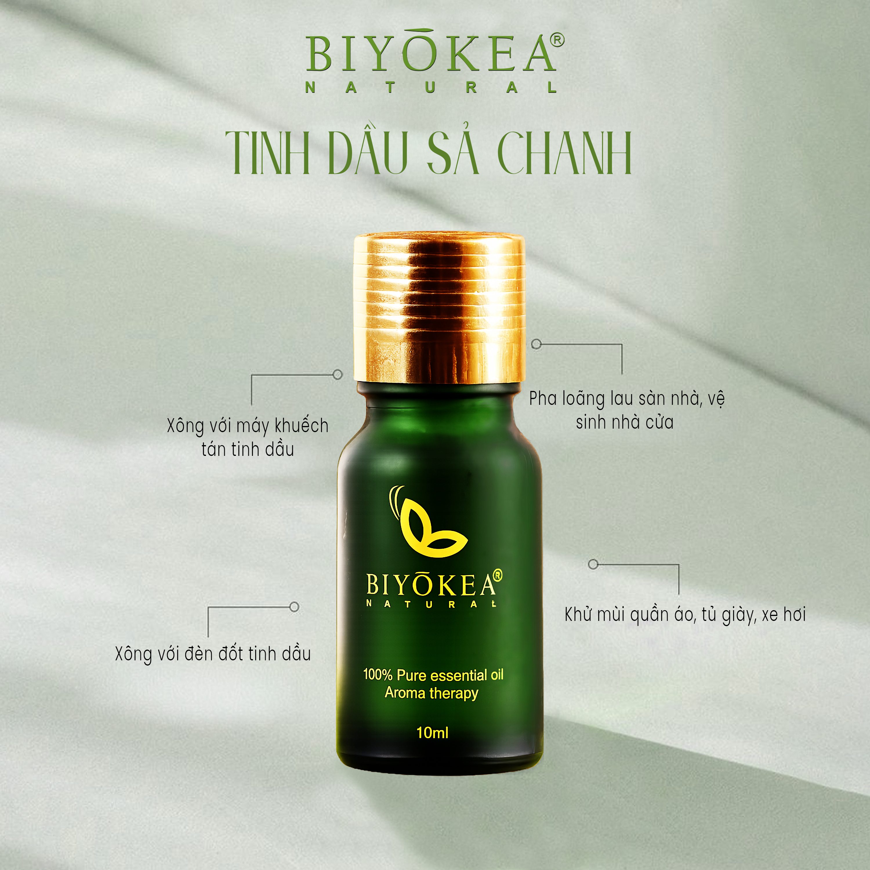 tinh dau sa chanh (3)