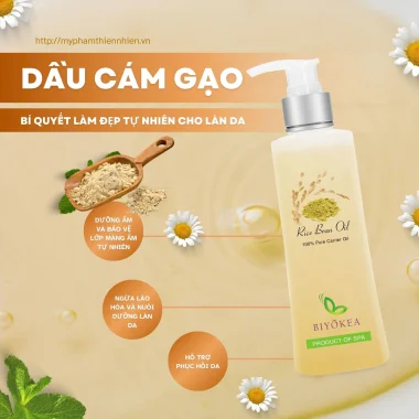 Dầu nền, dầu dẫn