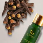 TINH DAU DINH HUONG 10ML