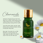 TINH DAU CUC LA MA 10ML