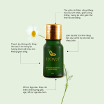 TINH DAU CUC LA MA 10ML