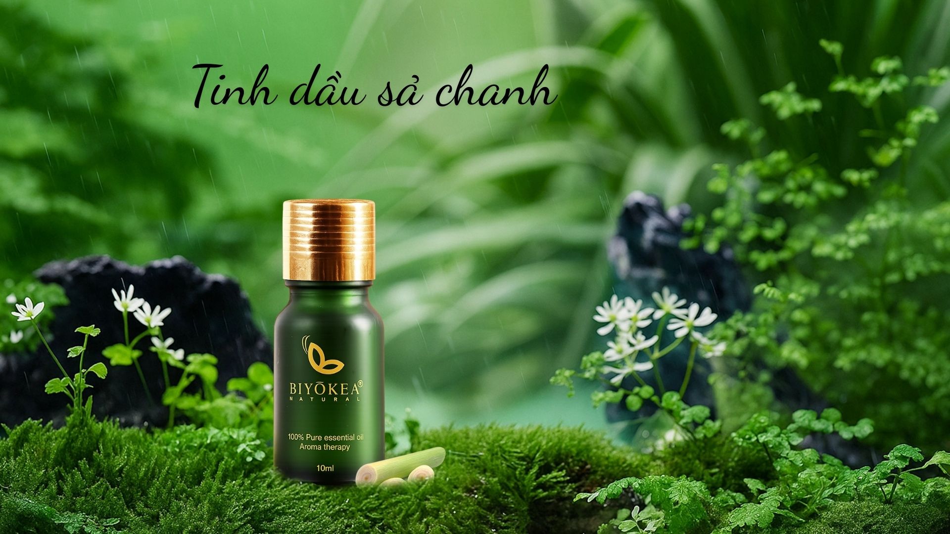 Tinh dầu sả chanh