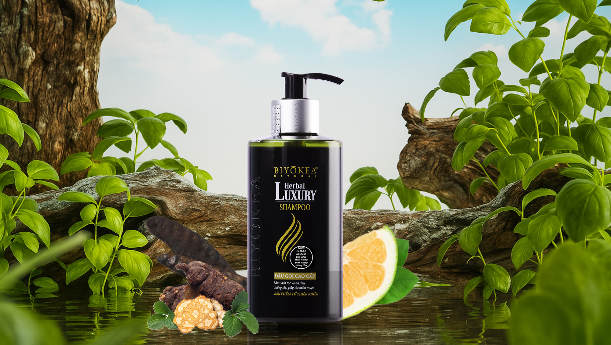 Dầu gội thảo mộc Herbal Luxury