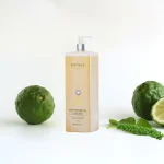 DAU MASSAGE BODY COOLING B005 200ML