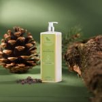 Luxury Comfortable 1