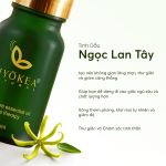 TINH DAU YLANG 10ML