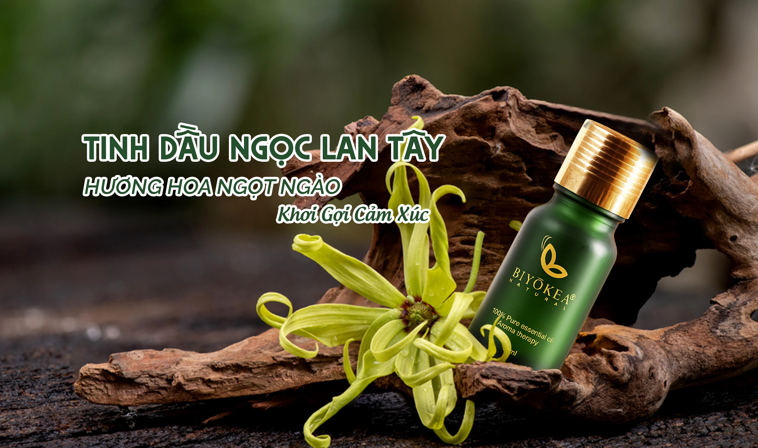 Tinh Dầu Ngọc Lan Tây Biyòkea