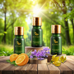Bộ ba tinh dầu của BIYÒKEA