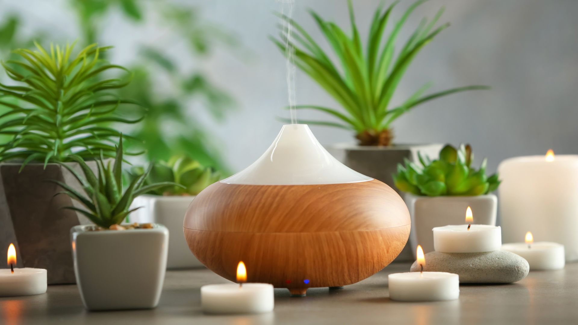 Máy xông tinh dầu