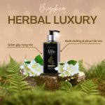 Dầu gội thảo dược tự nhiên giảm gãy rụng