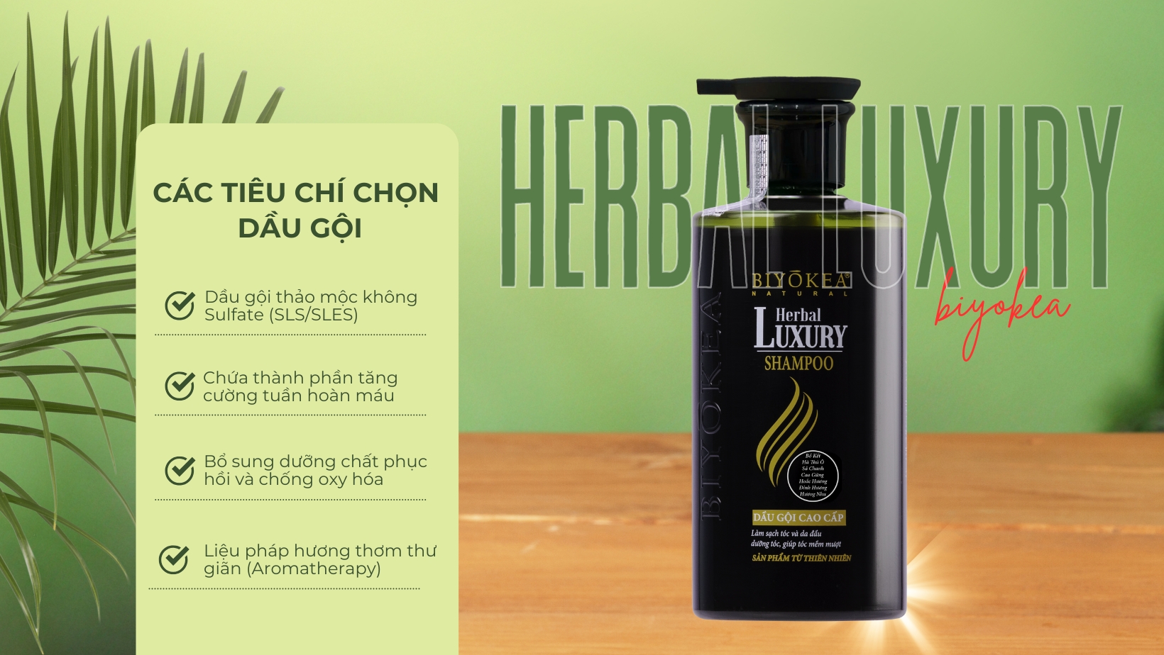 Các tiêu chí chọn dầu gội cho dân văn phòng