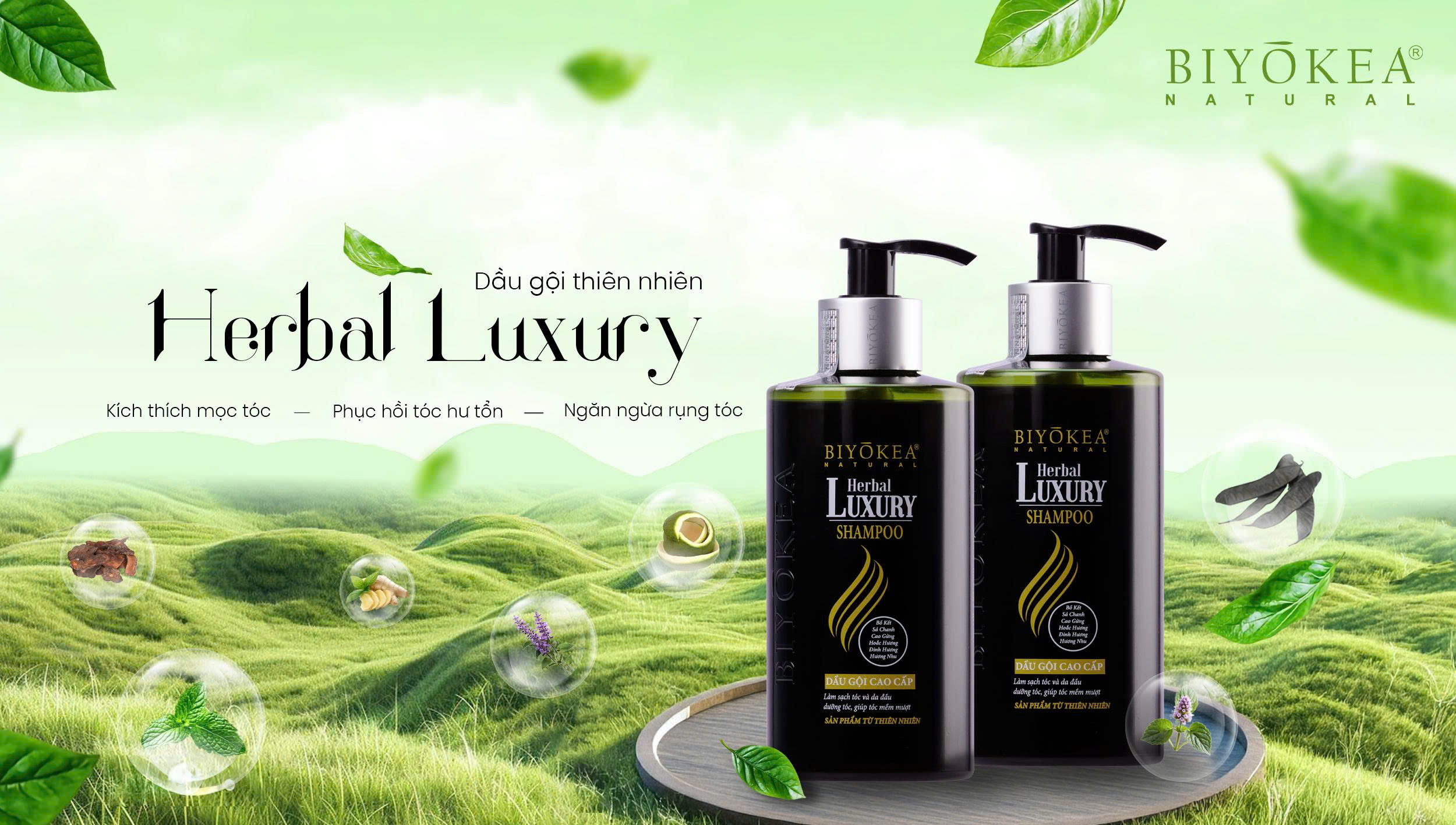 Dầu gội thảo dược Herbal Luxury