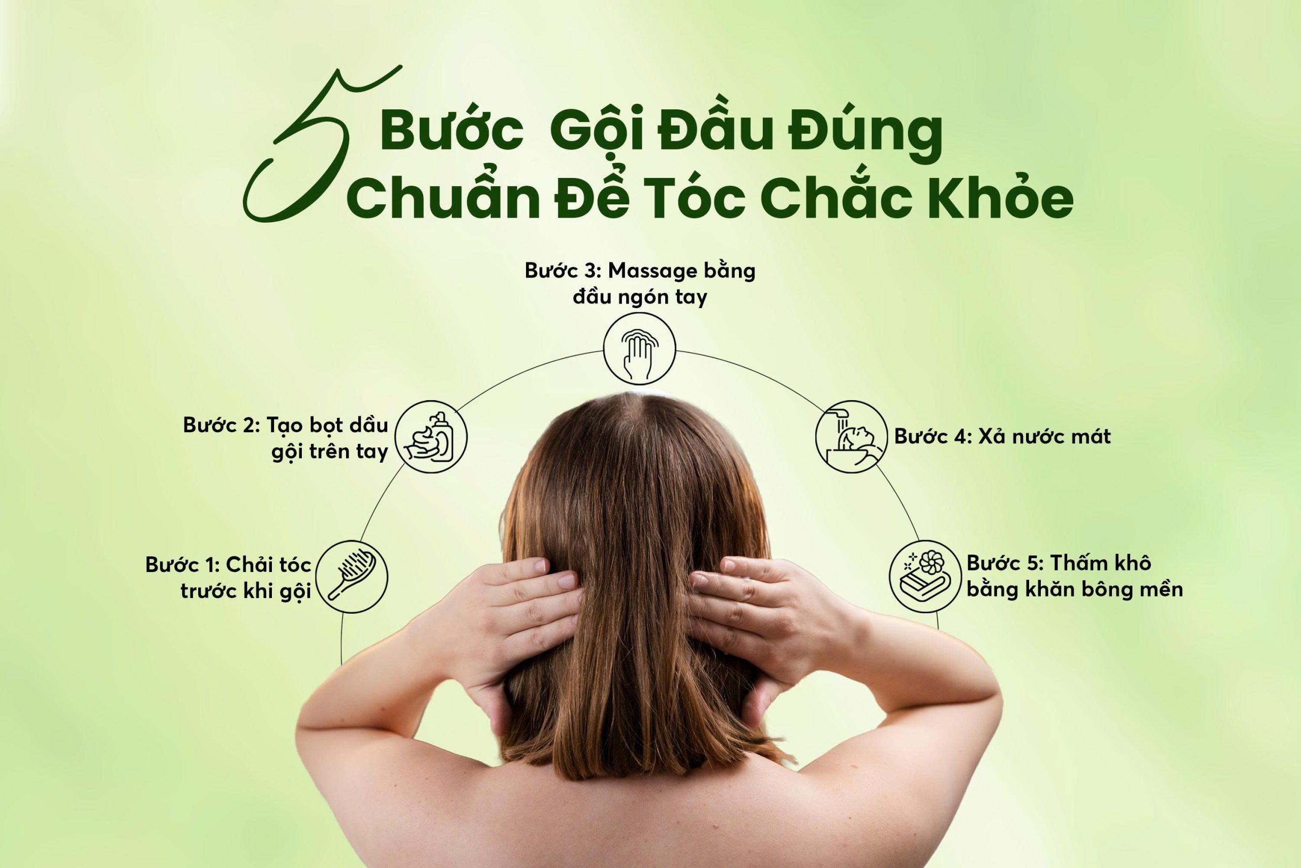 5 bước gội đầu đúng chuẩn cùng dầu gội Herbal Luxury
