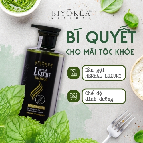 Dầu gội Herbal Luxury và chế độ dinh dưỡng - Bí quyết cho mái tóc khỏe