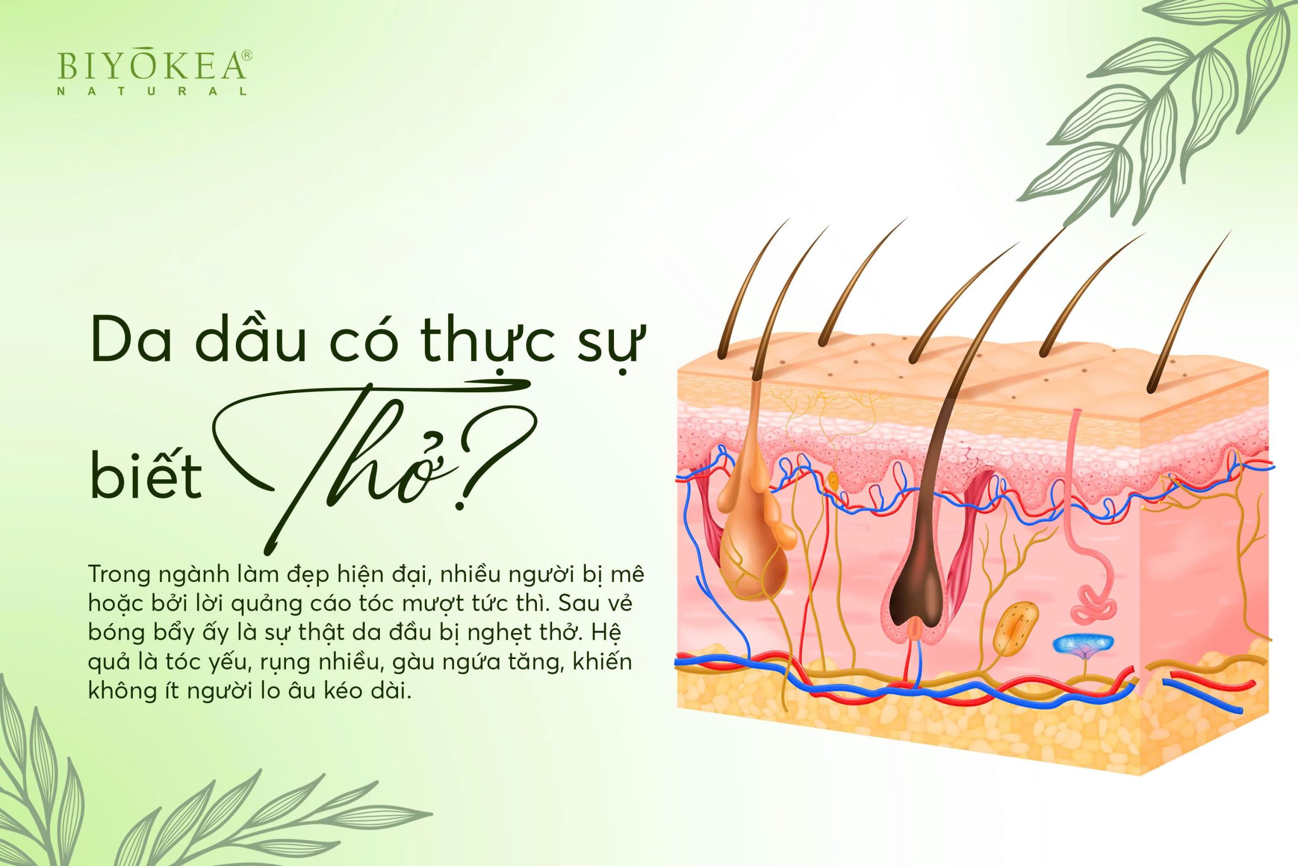 Da đầu có thực sự biết thở?
