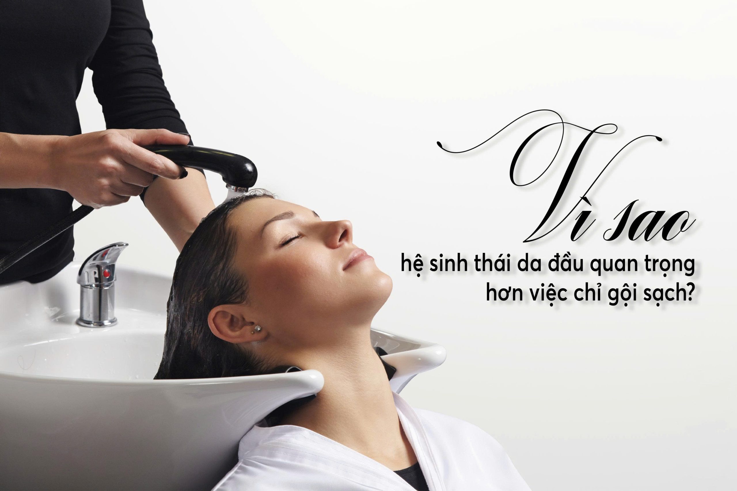 Vì sao hệ sinh thái da đầu quan trọng hơn việc chỉ gội sạch?