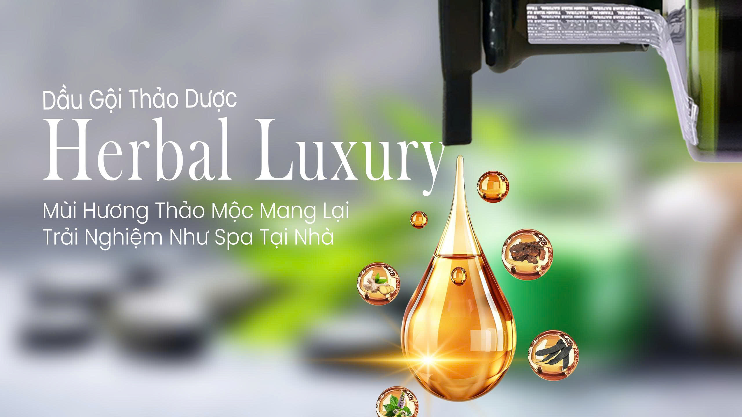 Dầu gội thảo dược mang đến trải nghiệm thư giản tại salon tóc cao cấp