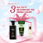Quà tặng 8/3 - Bộ chăm sóc tóc Herbal Luxury
