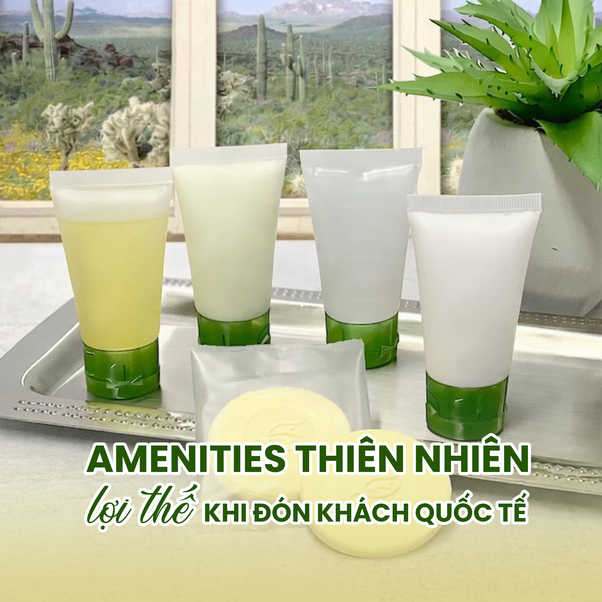 Gia công amenties BIYÒKEA