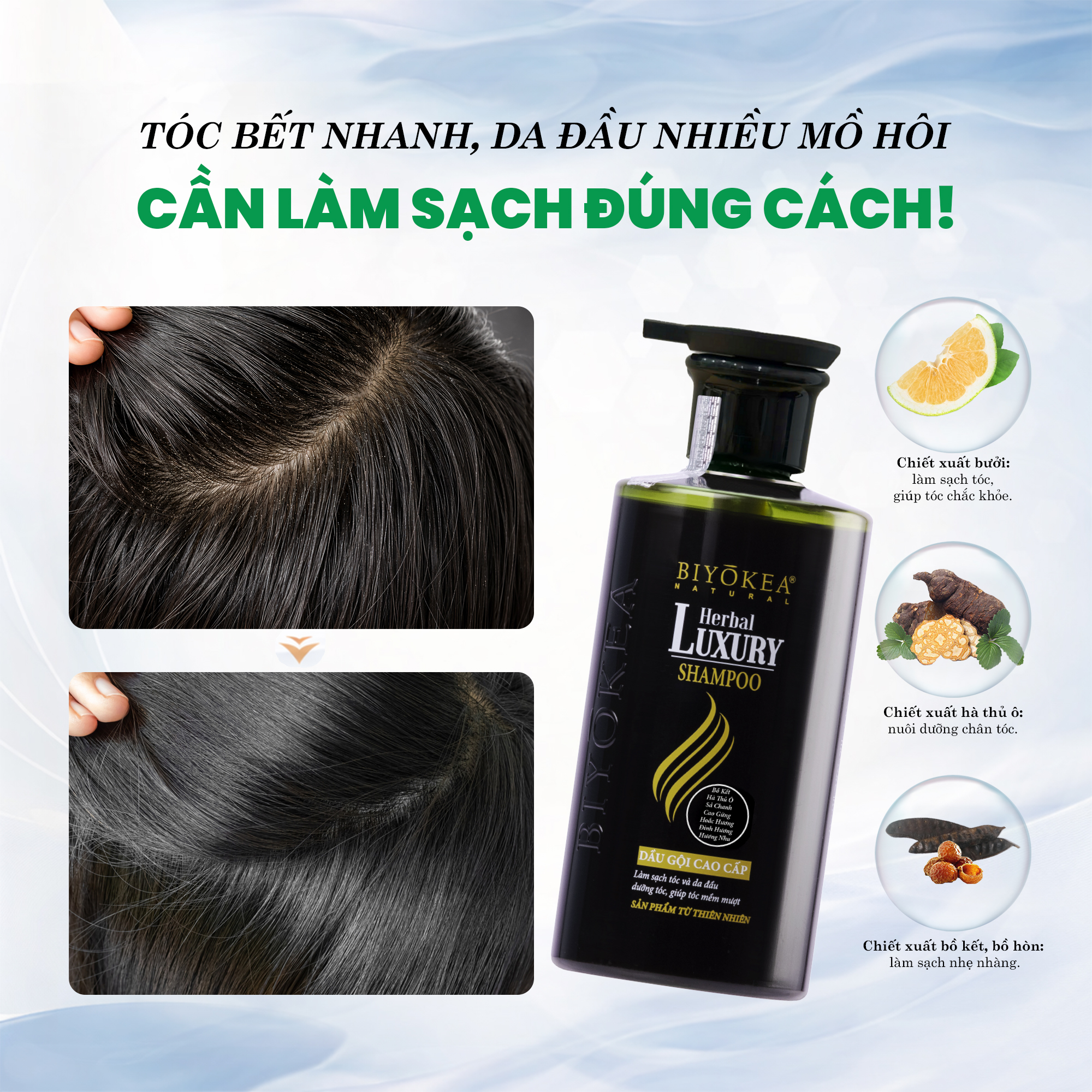 làm sạch tóc bết