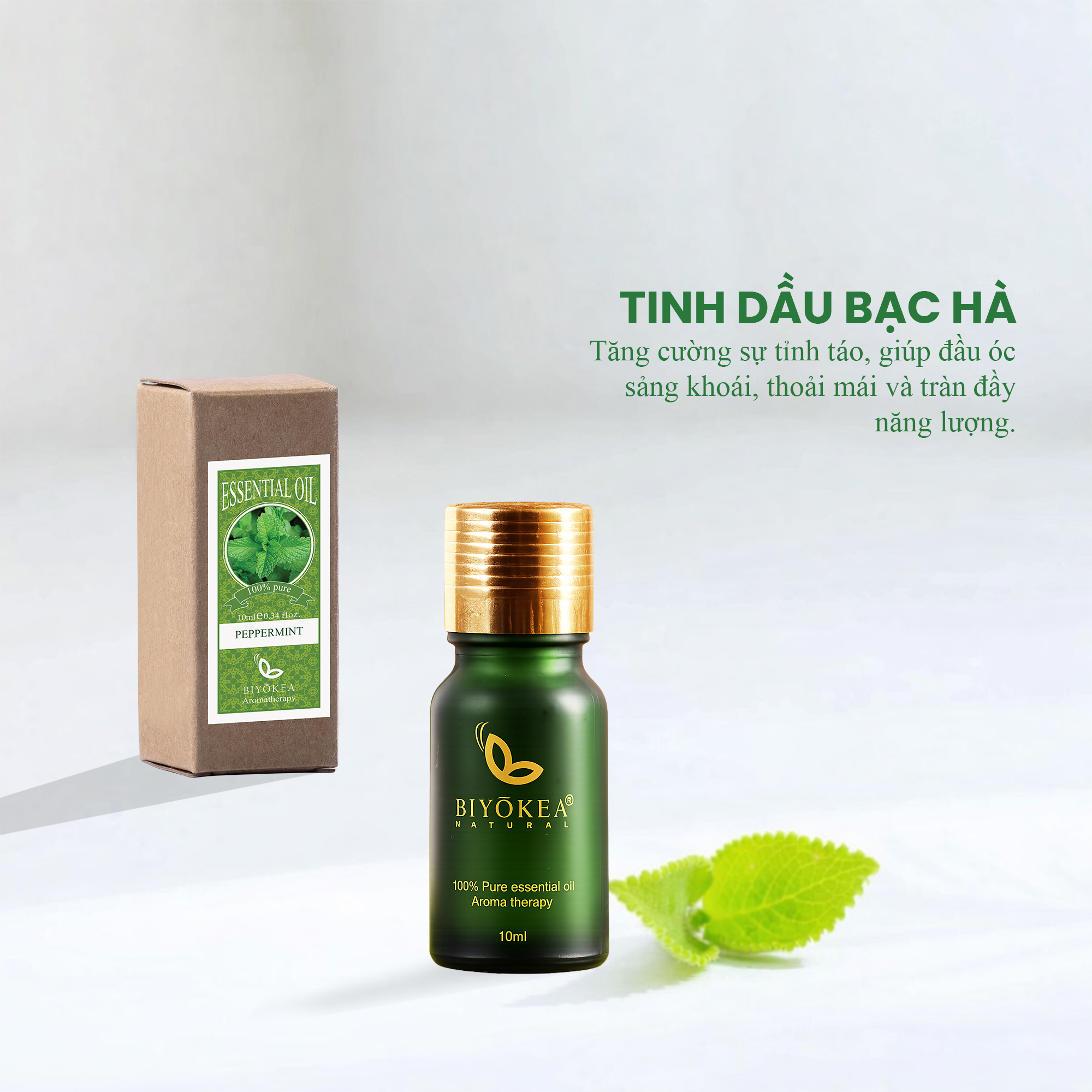 Tinh dầu bạc hà
