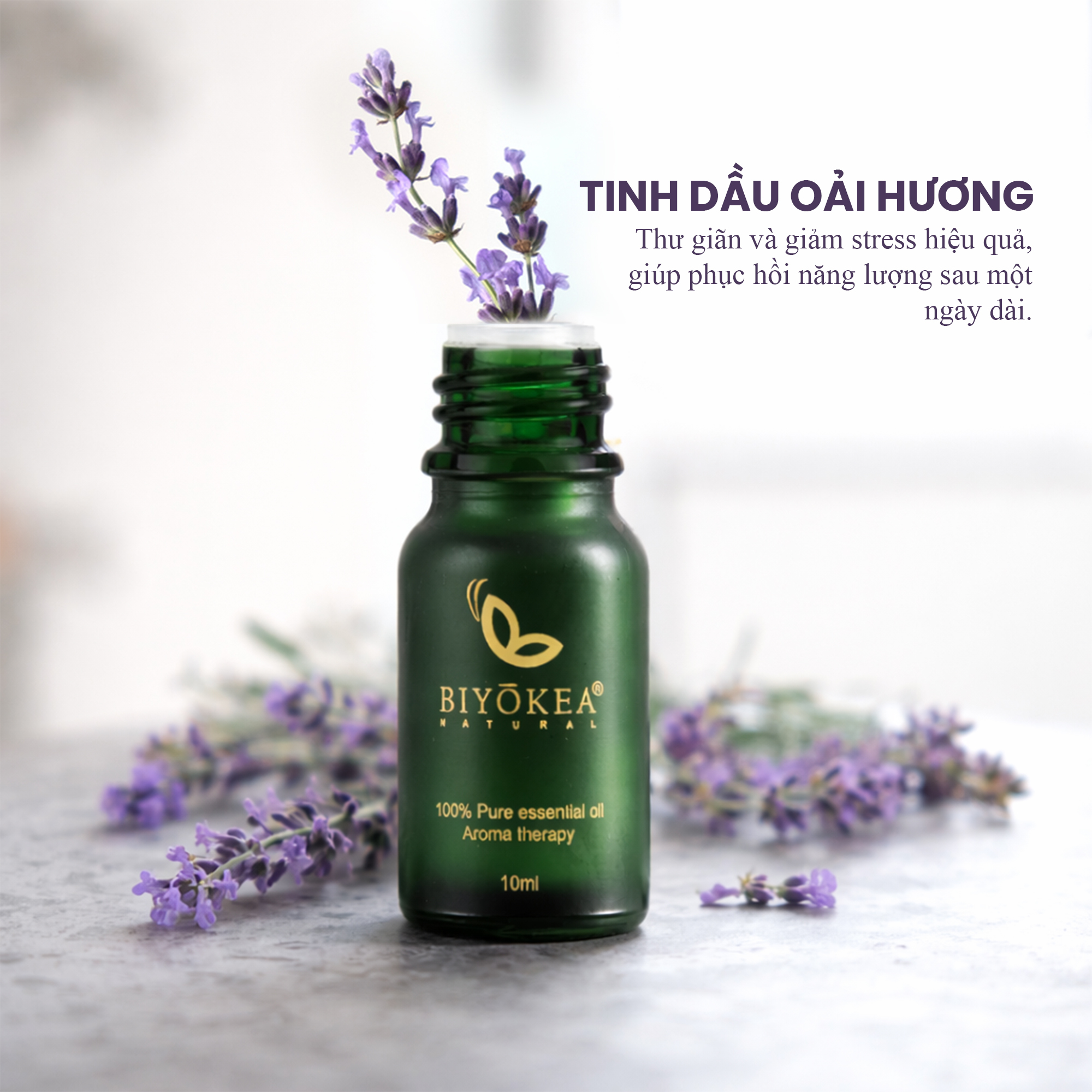 Tinh dầu oải hương