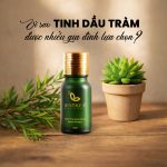 Tinh dầu Tràm