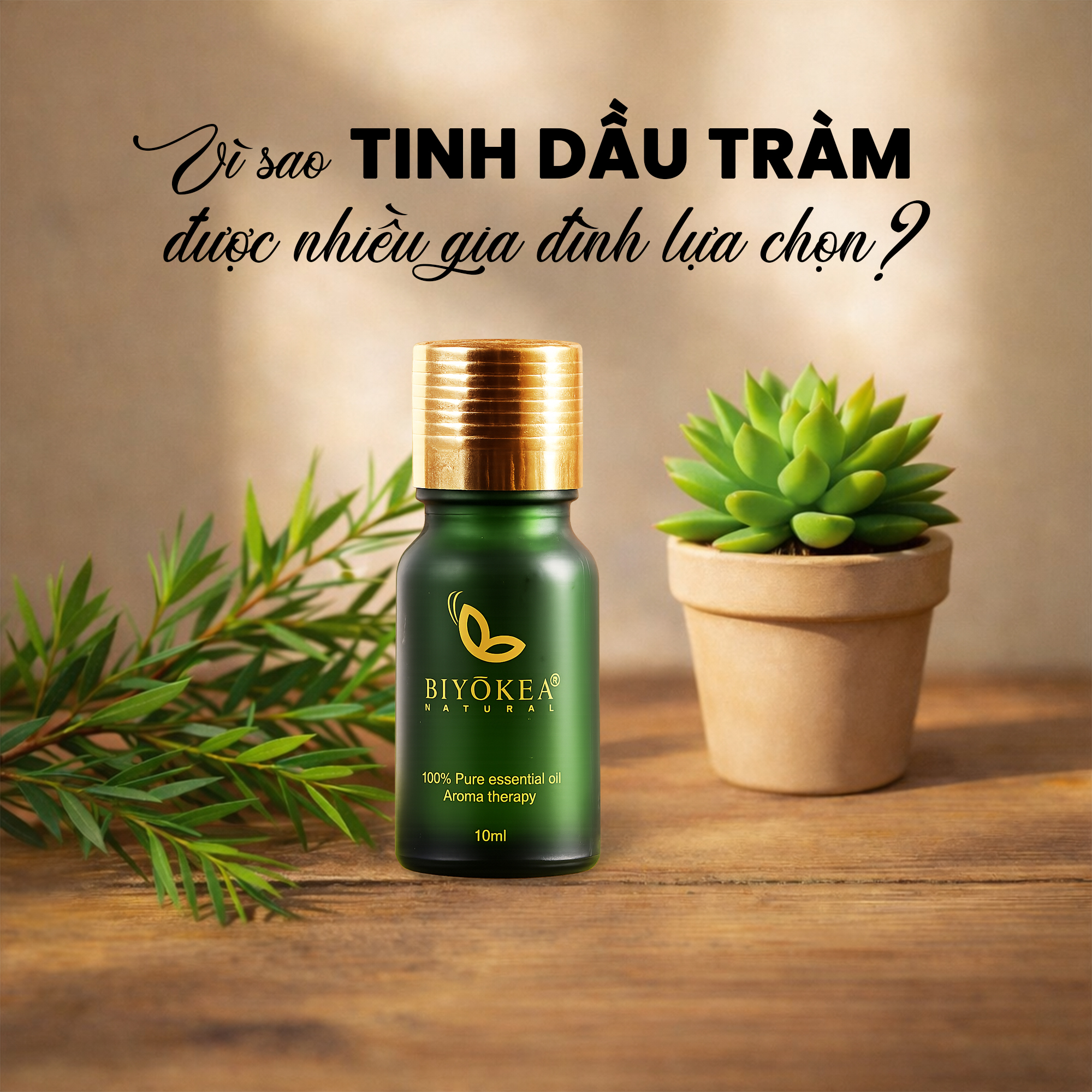 Tinh dầu Tràm