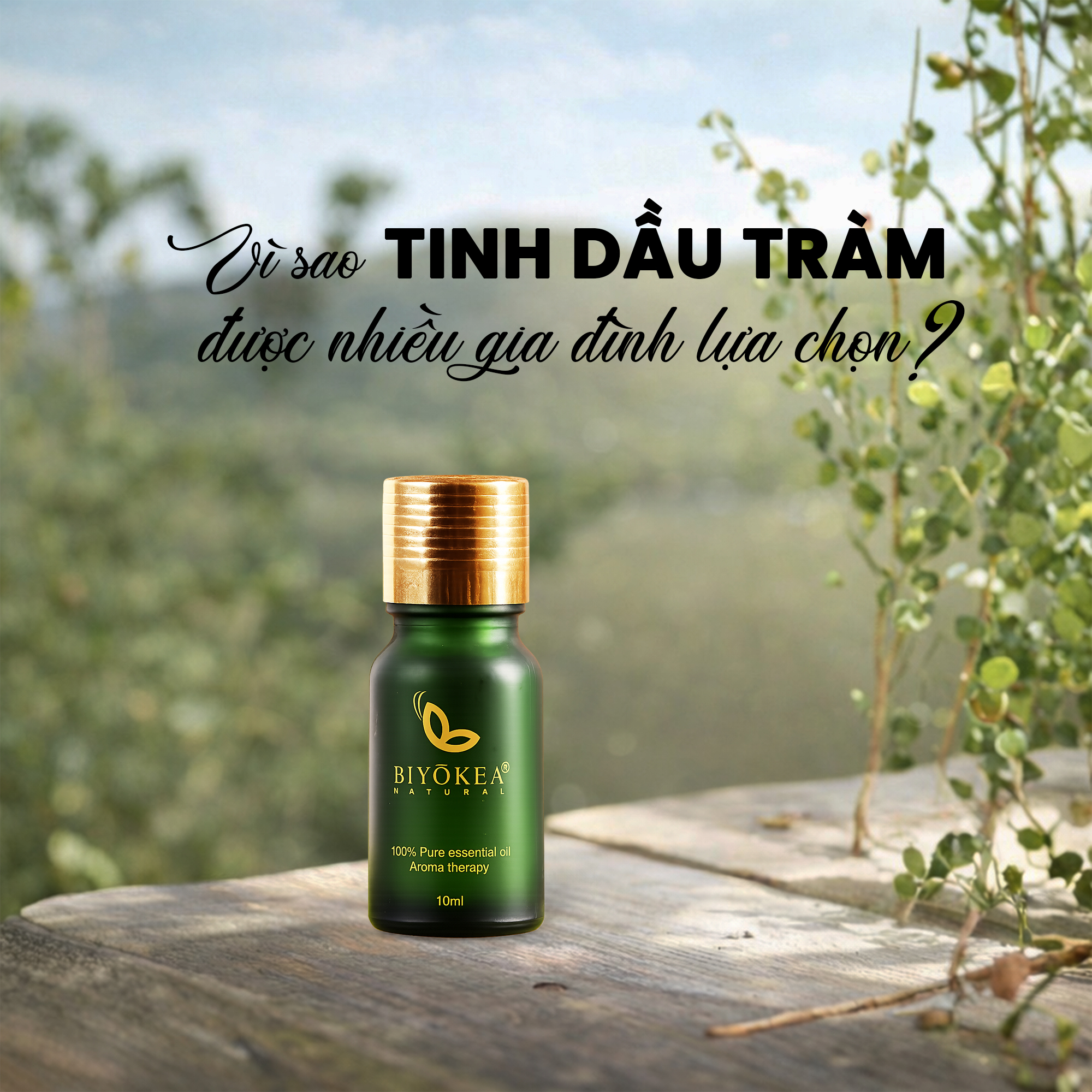 Tinh dầu Tràm BIYÒKEA