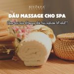 Dầu massage cho spa
