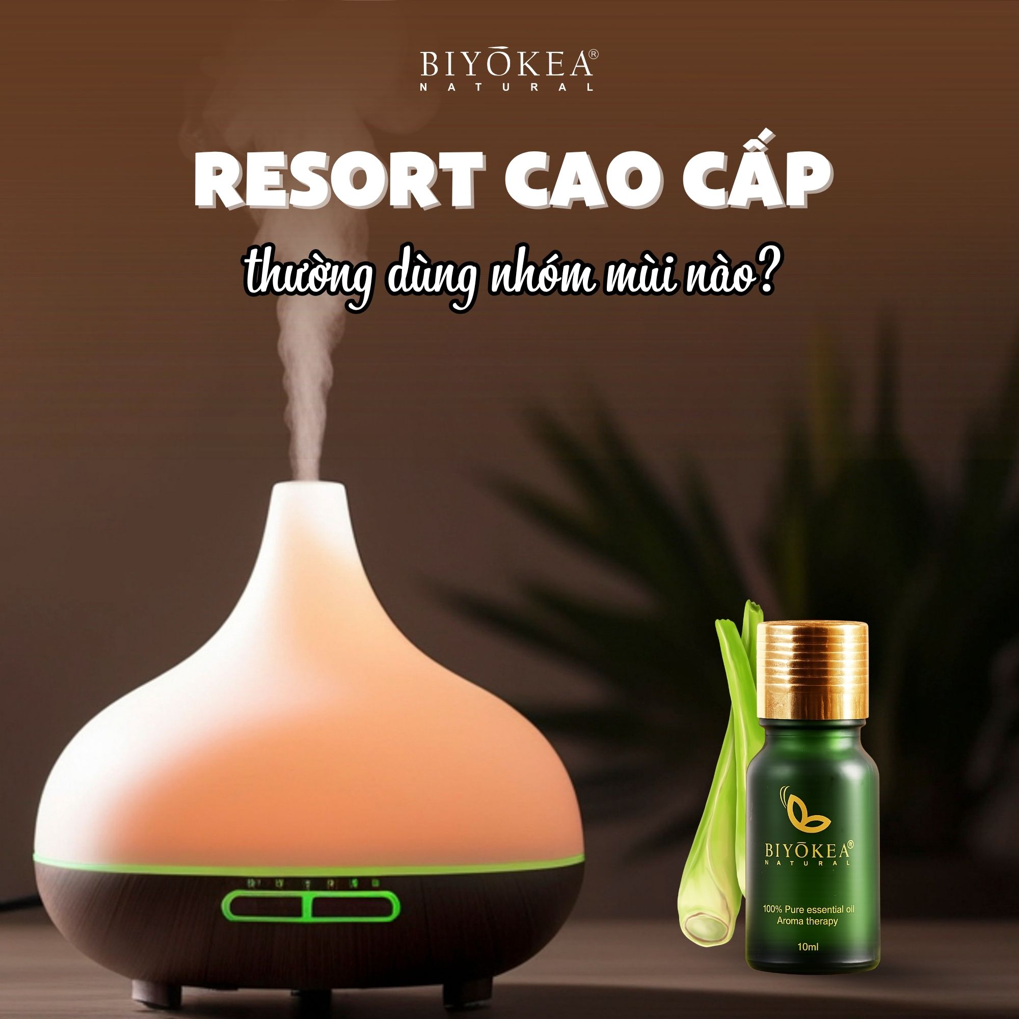 Tinh dầu cho resort cao cấp