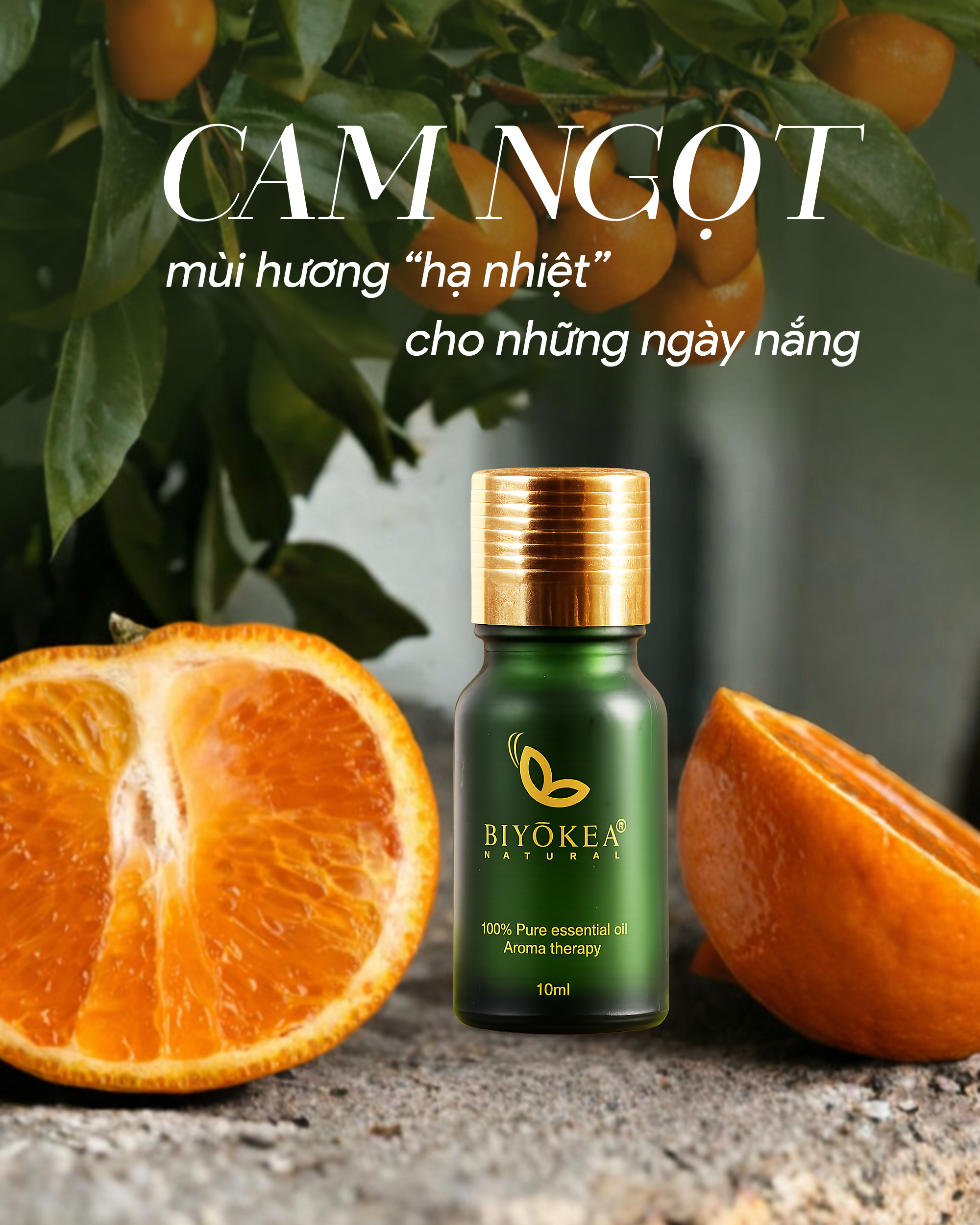Tinh dầu cam ngọt BIYÒKEA