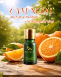 Tinh dầu cam ngọt - hạ nhiệt những ngày nắng