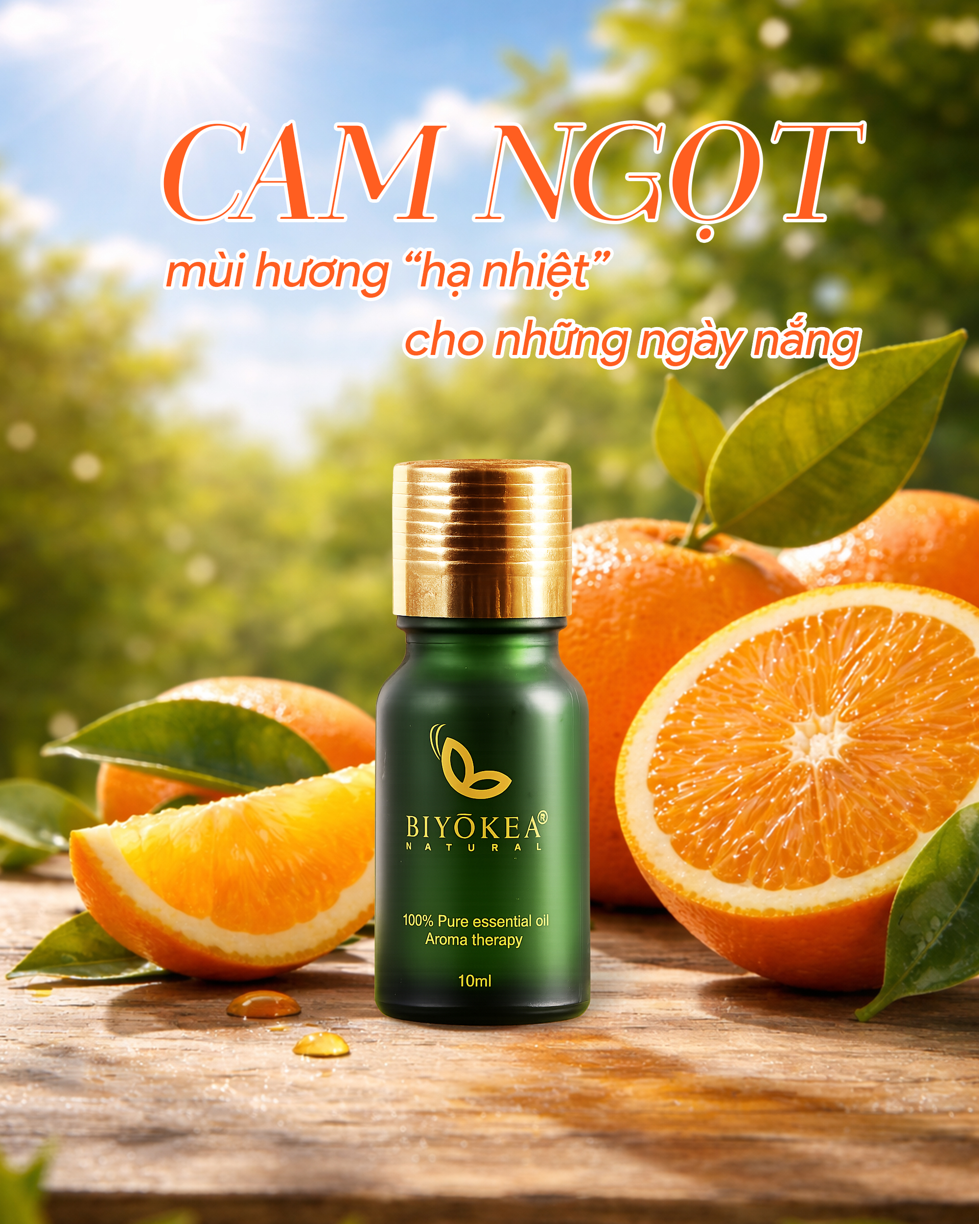 Tinh dầu cam ngọt - hạ nhiệt những ngày nắng