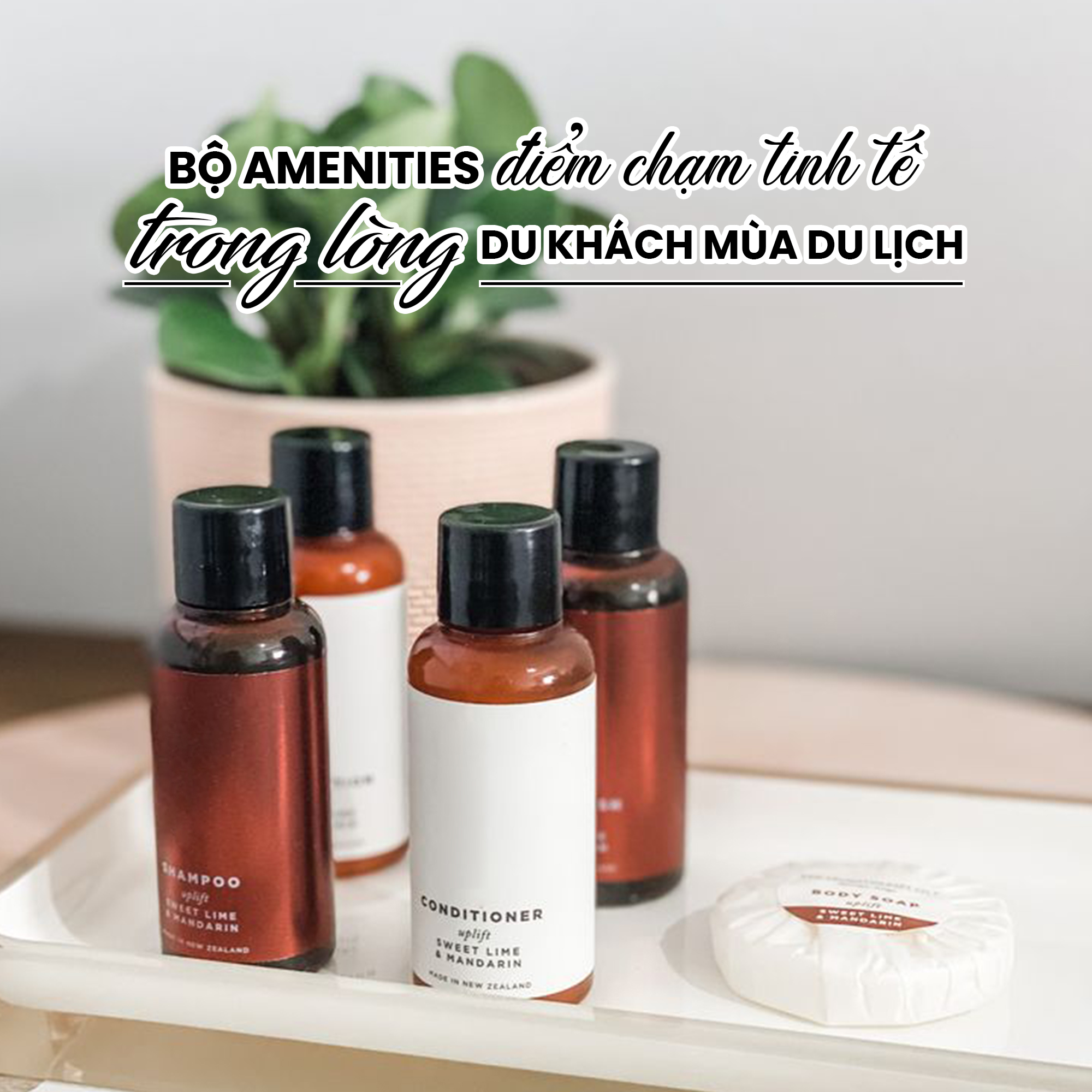 Chạm đến du khách qua bộ amenities chât lượng.