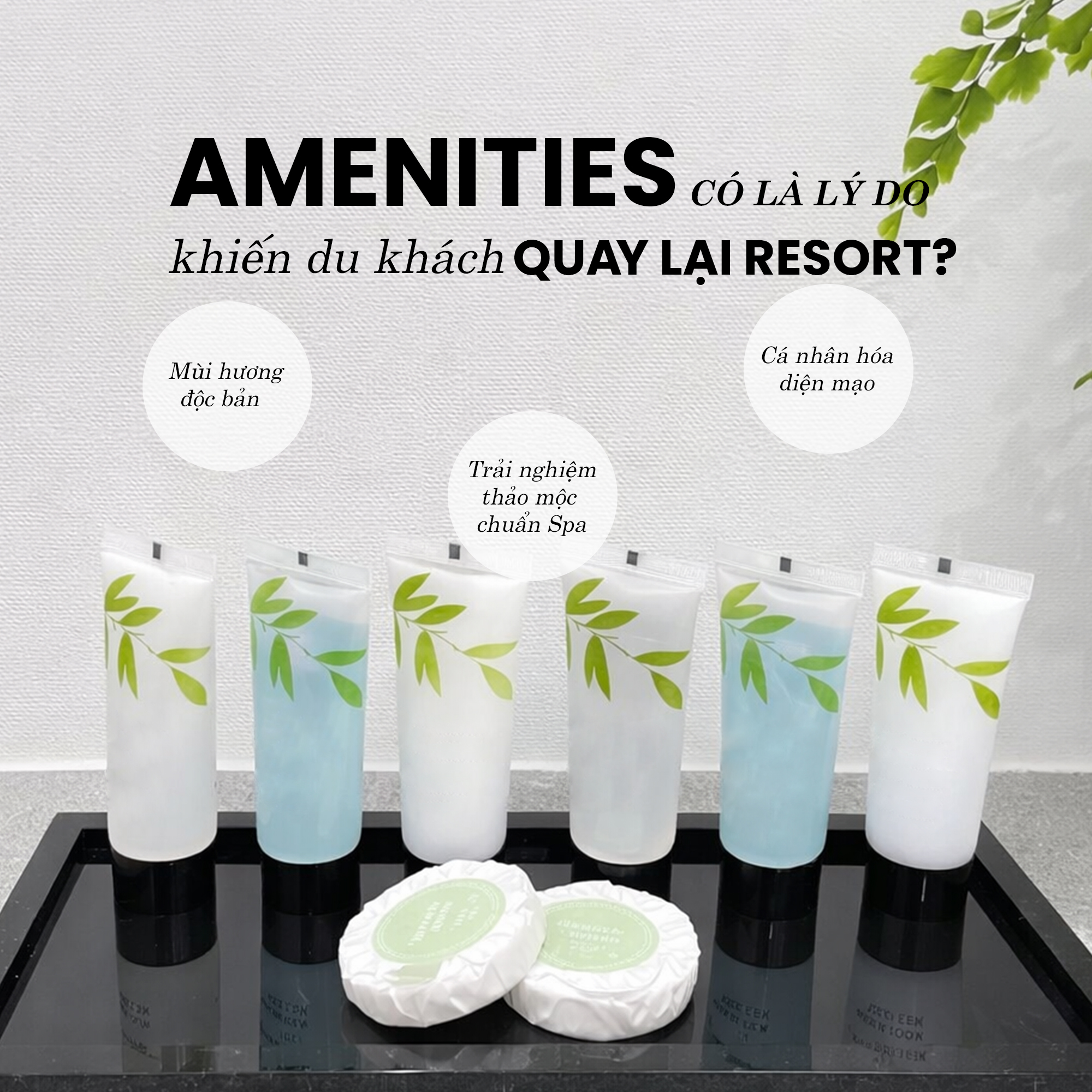 Mùi hương của bộ Amenities là lý do du khách trở lại