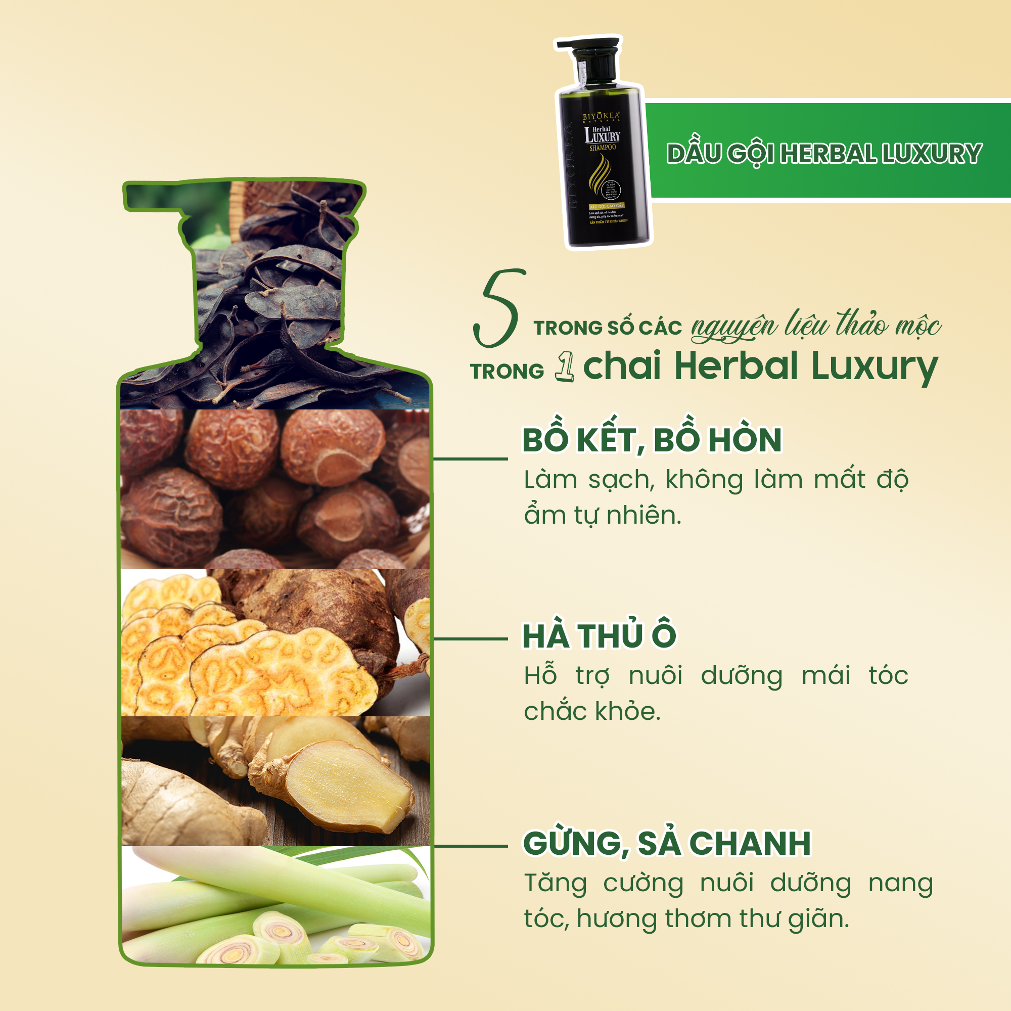 Các thành phần từ thiên nhiên trong chai dầu gội thảo mộc