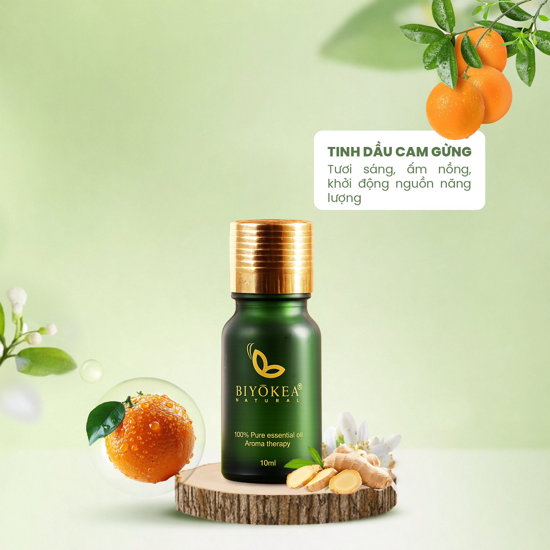 Tinh dầu Cam Gừng – Nốt hương gói ghém niềm vui và sự ấm áp