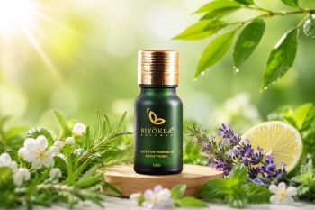 Tinh dầu hỗn hợp thơm phòng - Hương thơm tự nhiên