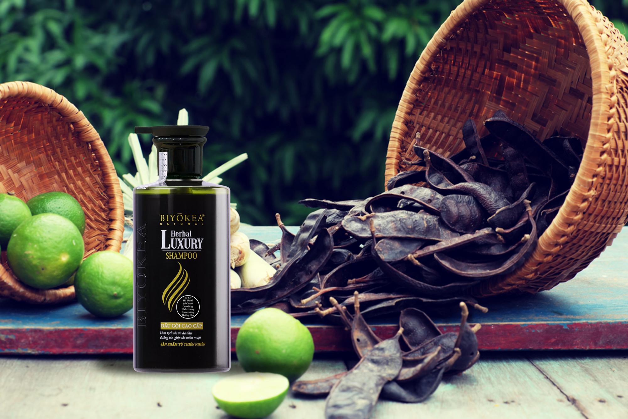dầu gội cho tóc khô xơ Herbal Luxury BIYÒKEA silk protein
